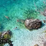 شقة Vlora Apartments