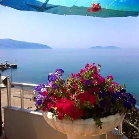 Vlora Apartments Apartment